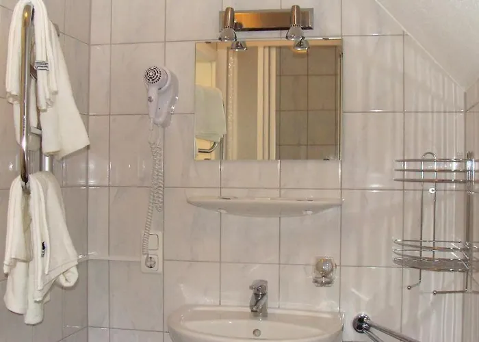 Casa de hóspedes Weisses Ross 2*